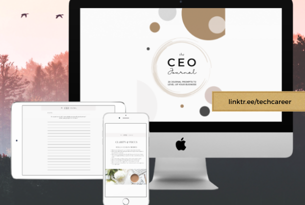 CEO Journal